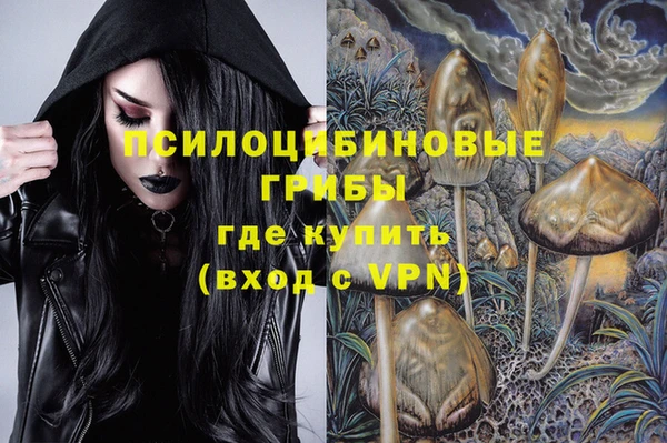 дмт Армянск