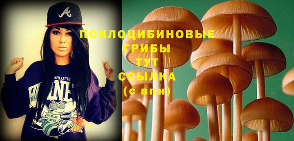 дмт Армянск